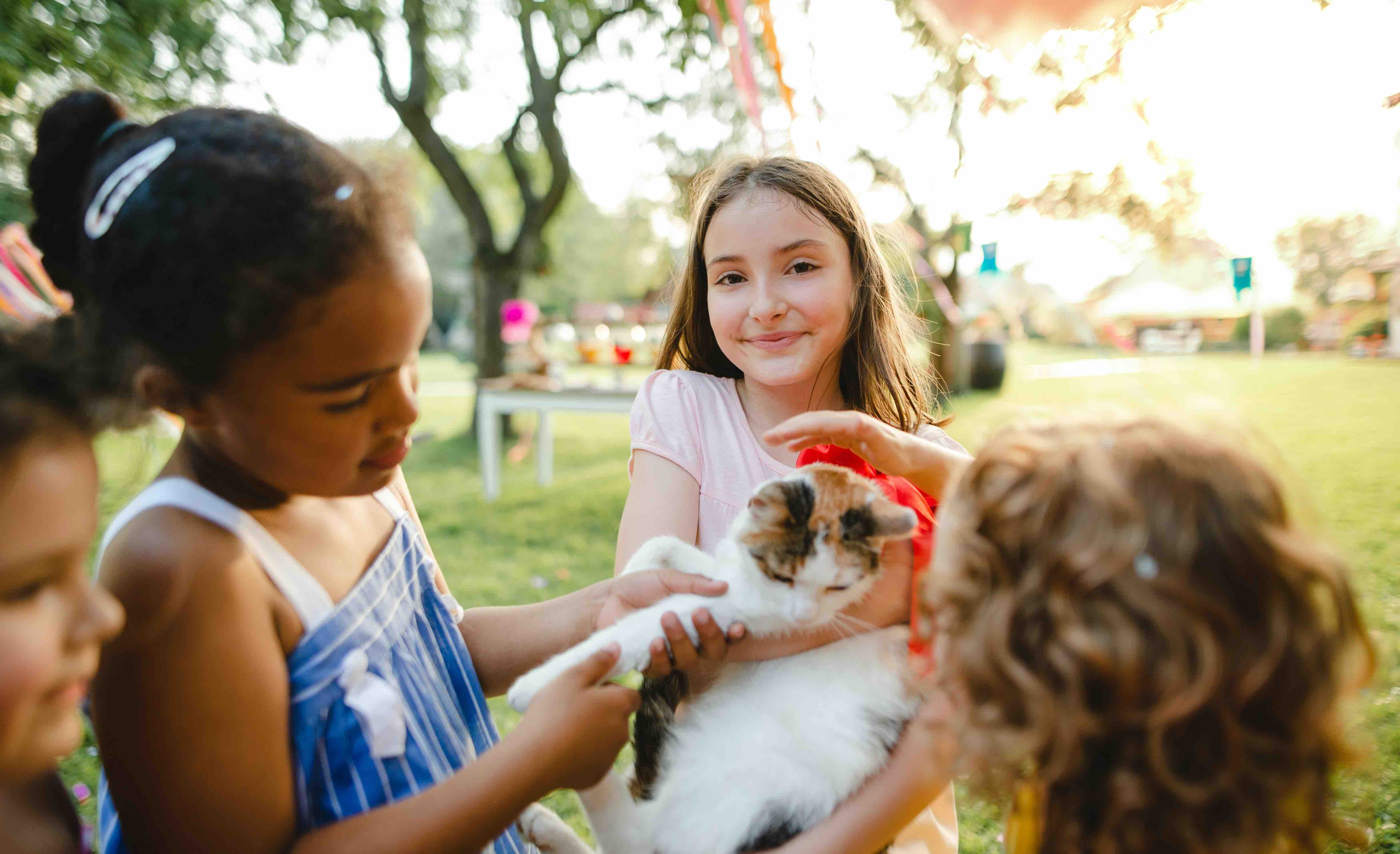 Top Pet Trends for Summer 2025 – Highmark Style
